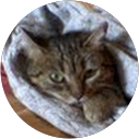 Sara Lunar profile picture